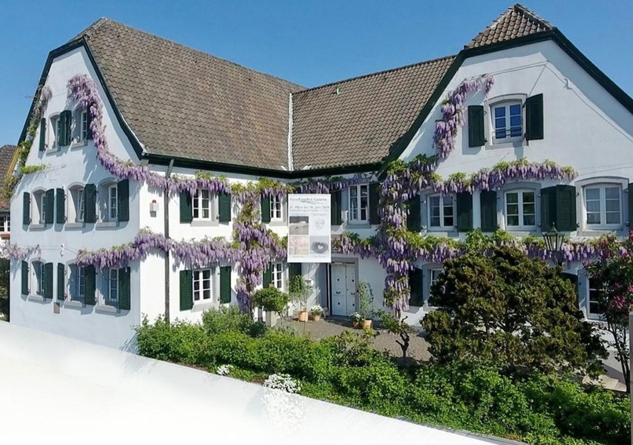Rhein River Guesthouse - Direkt Am Rhein Leverkusen Zewnętrze zdjęcie
