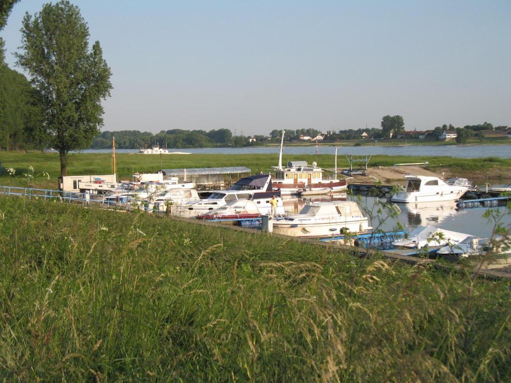Rhein River Guesthouse - Direkt Am Rhein Leverkusen Zewnętrze zdjęcie