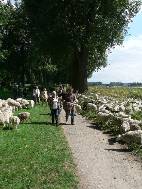 Rhein River Guesthouse - Direkt Am Rhein Leverkusen Zewnętrze zdjęcie