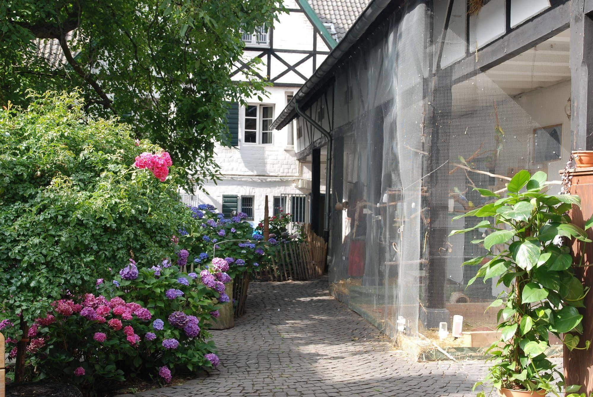 Rhein River Guesthouse - Direkt Am Rhein Leverkusen Zewnętrze zdjęcie