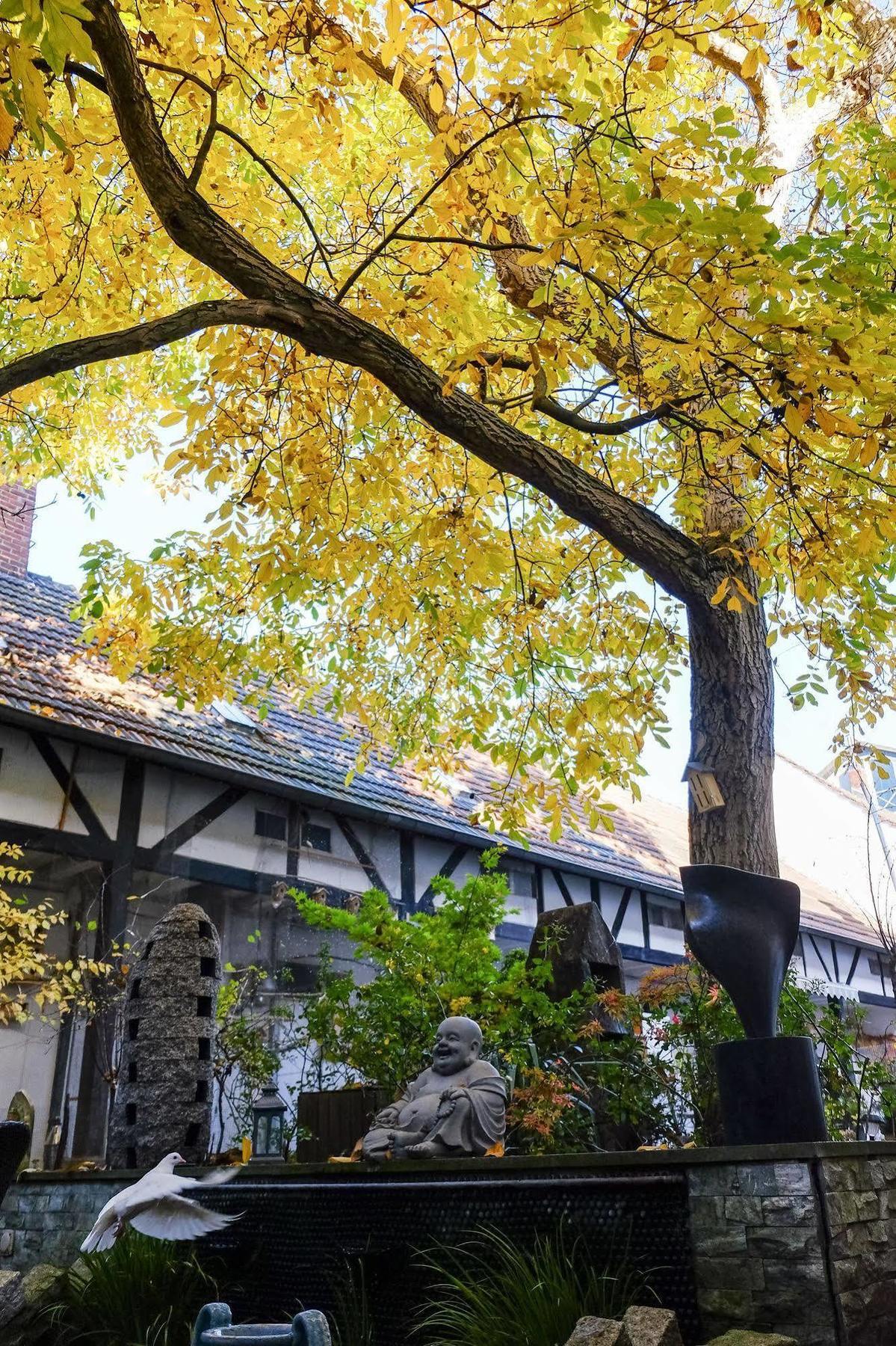 Rhein River Guesthouse - Direkt Am Rhein Leverkusen Zewnętrze zdjęcie