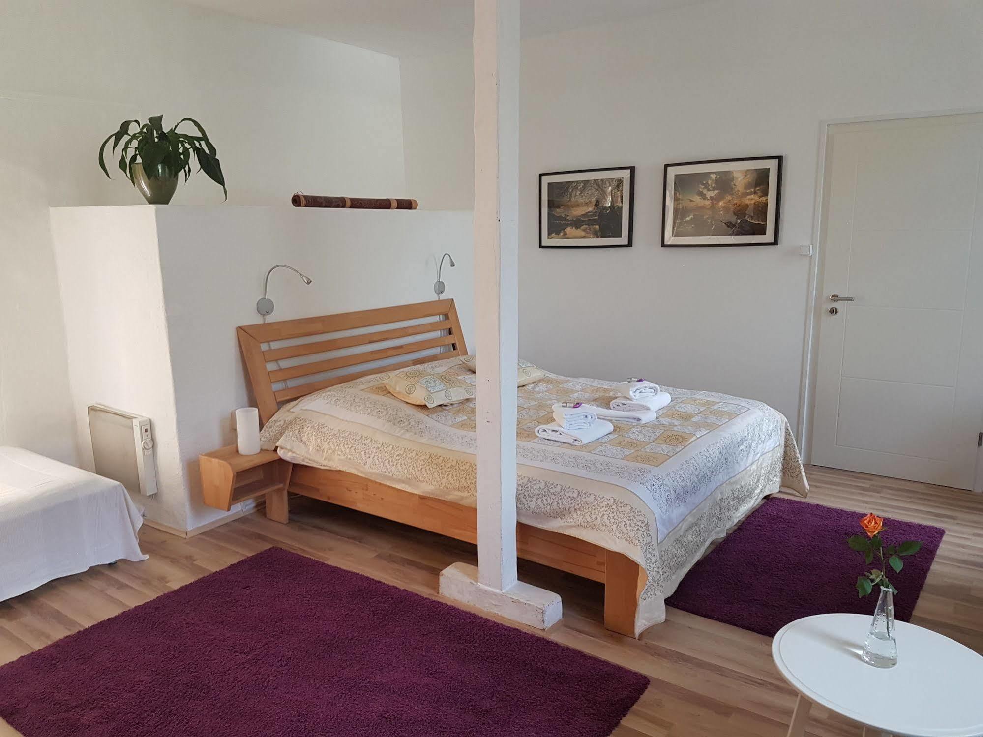 Rhein River Guesthouse - Direkt Am Rhein Leverkusen Zewnętrze zdjęcie