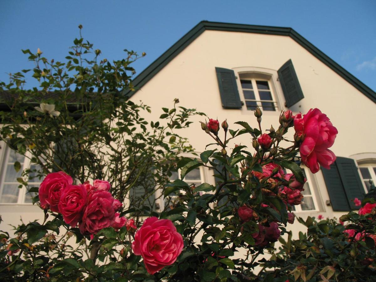 Rhein River Guesthouse - Direkt Am Rhein Leverkusen Zewnętrze zdjęcie